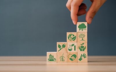 Da li ćemo uspostaviti sistem trgovine koji traži EU? U riziku smo od velikog ekonomskog udara