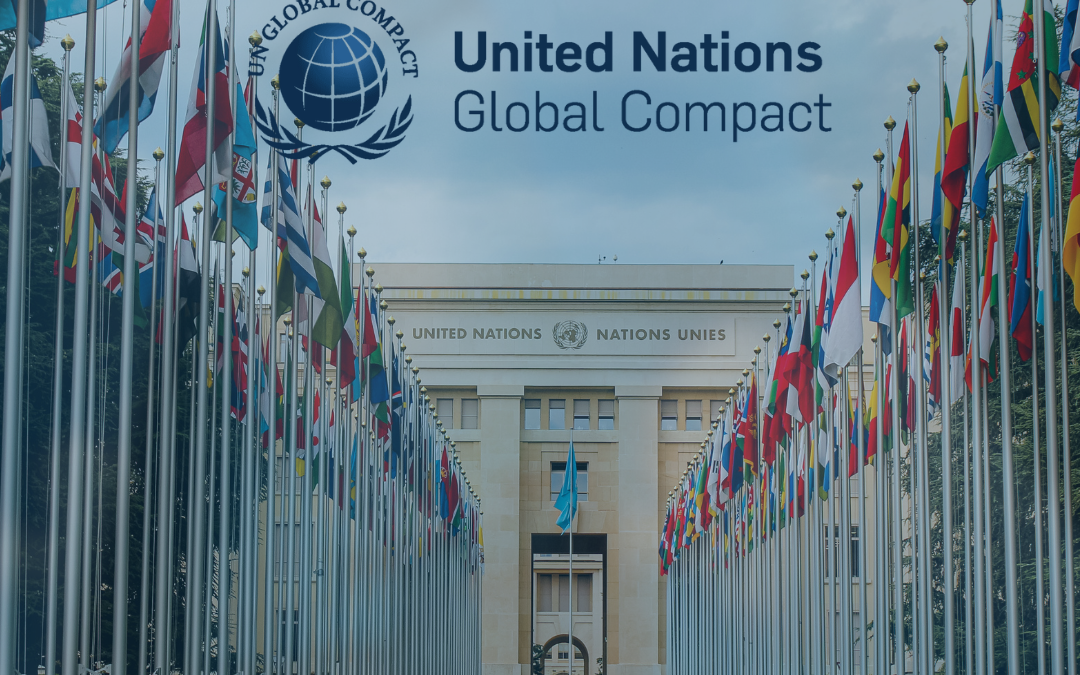 Kompanija nLogic Advisory postala član UN Global Compact